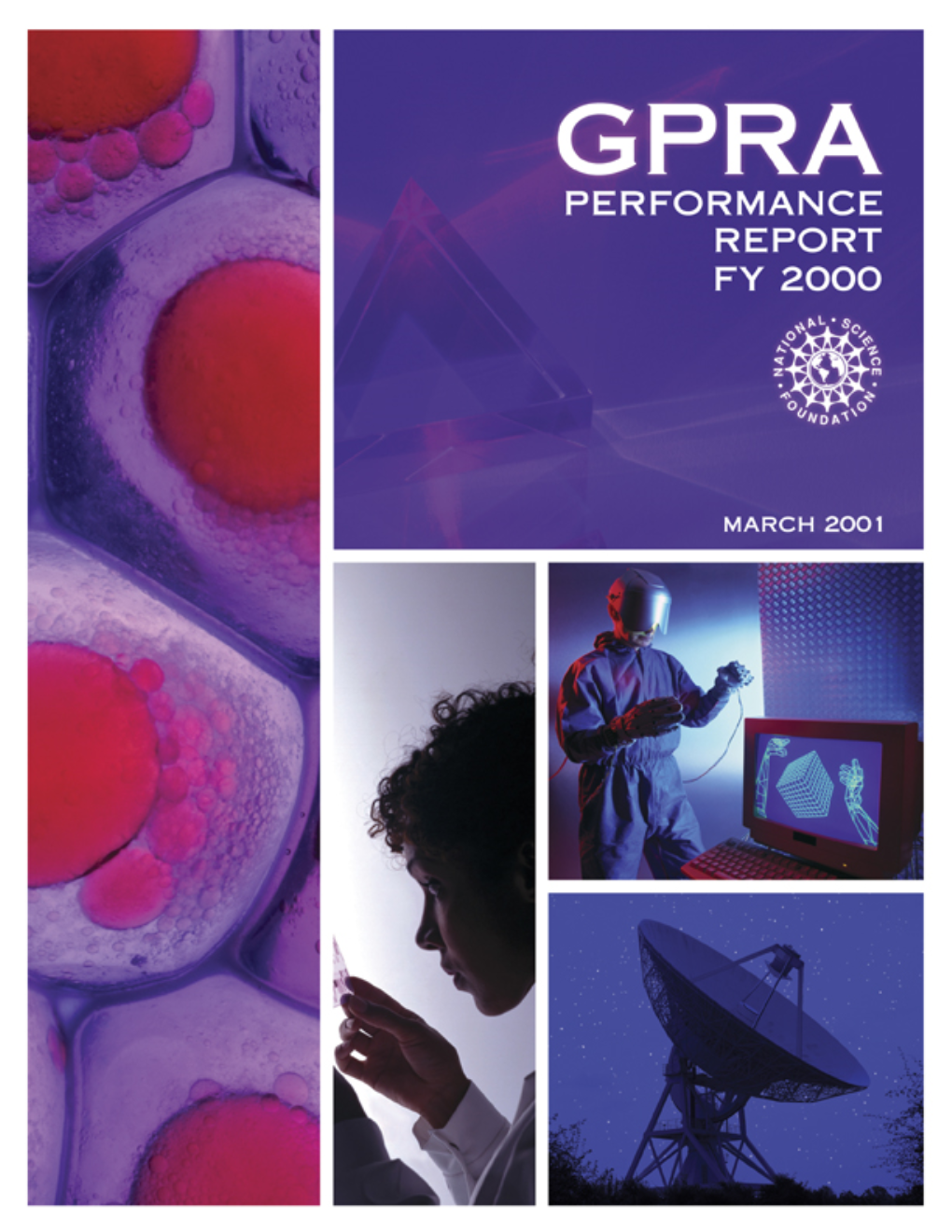 NSF 01-86: GPRA Performance Report FY 2000