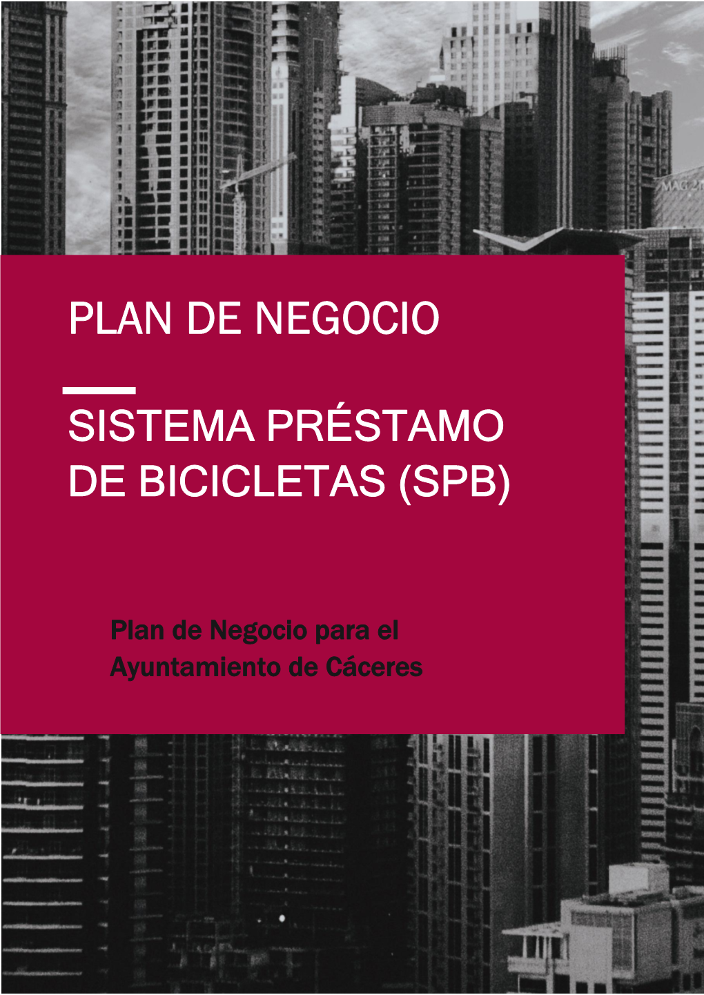 Plan De Negocio