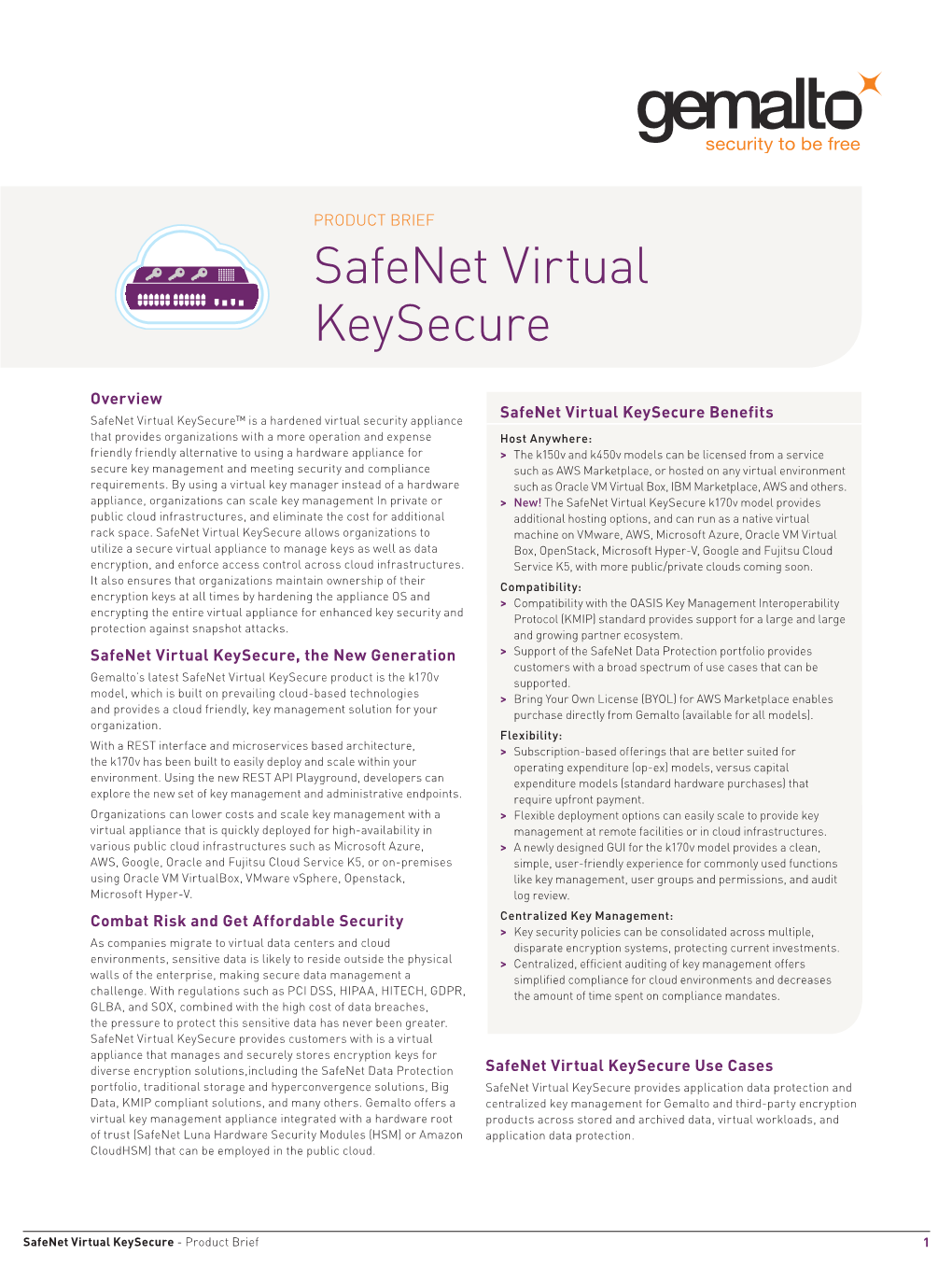 Safenet Virtual Keysecure