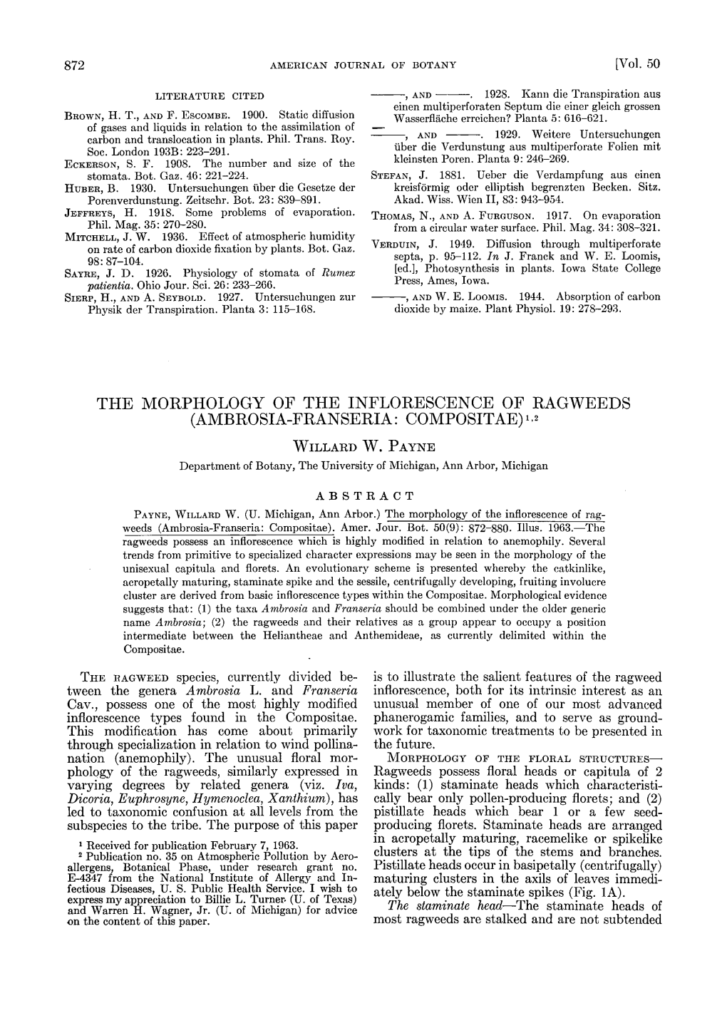 The Morphology of the Inflorescence of Ragweeds (Ambrosia-Franseria: Compositae) 1,2