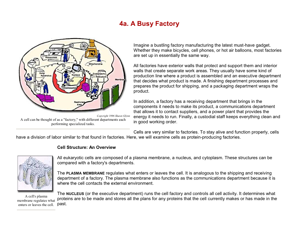 Cells-A-Busy-Factory.Pdf