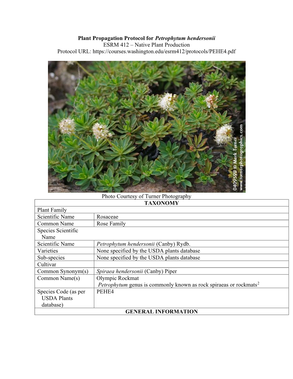 Plant Propagation Protocol for Petrophytum Hendersonii ESRM 412 – Native Plant Production Protocol URL