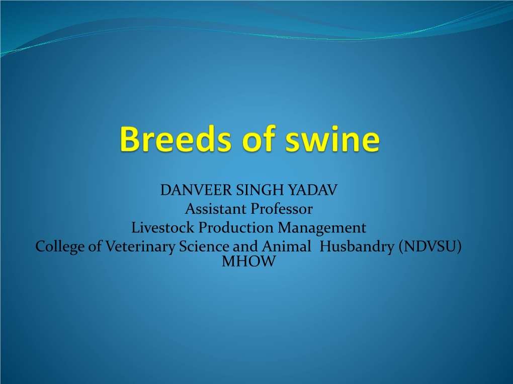 Breeds of Swine