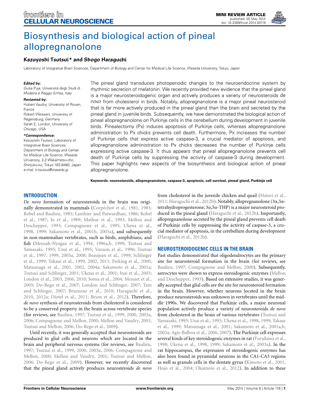 Biosynthesis and Biological Action of Pineal Allopregnanolone