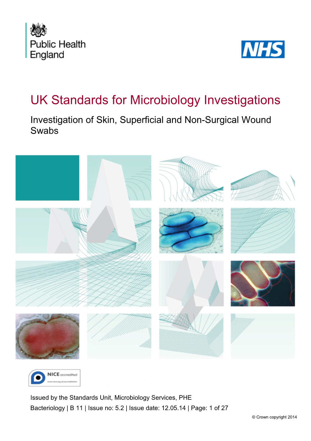 Investigation of Skin, Superficial and Non-Surgical Wound Swabs