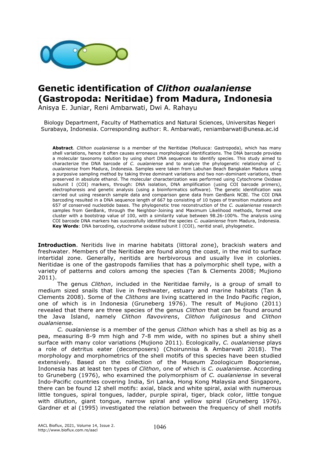 Genetic Identification of Clithon Oualaniense (Gastropoda: Neritidae) from Madura, Indonesia Anisya E