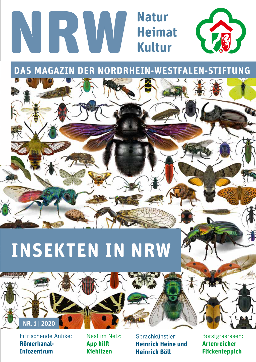 Insekten in Nrw