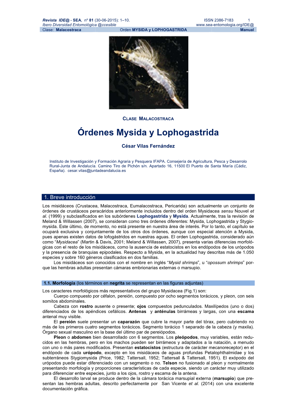 Órdenes Mysida Y Lophogastrida