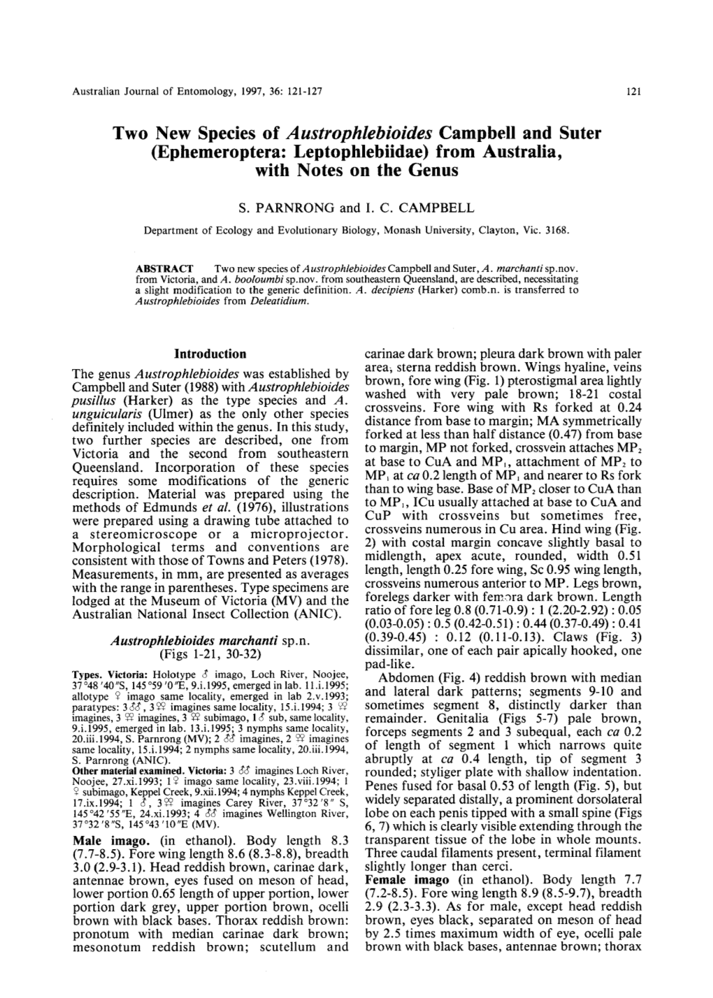 Ephemeroptera: Leptophlebiidae) from Australia, with Notes on the Genus