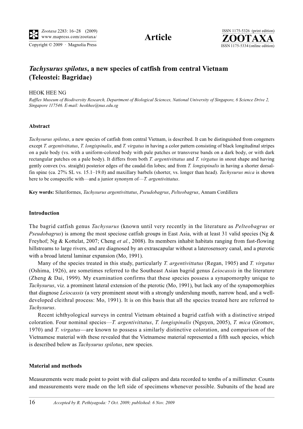 Zootaxa, Tachysurus Spilotus, a New Species of Catfish from Central