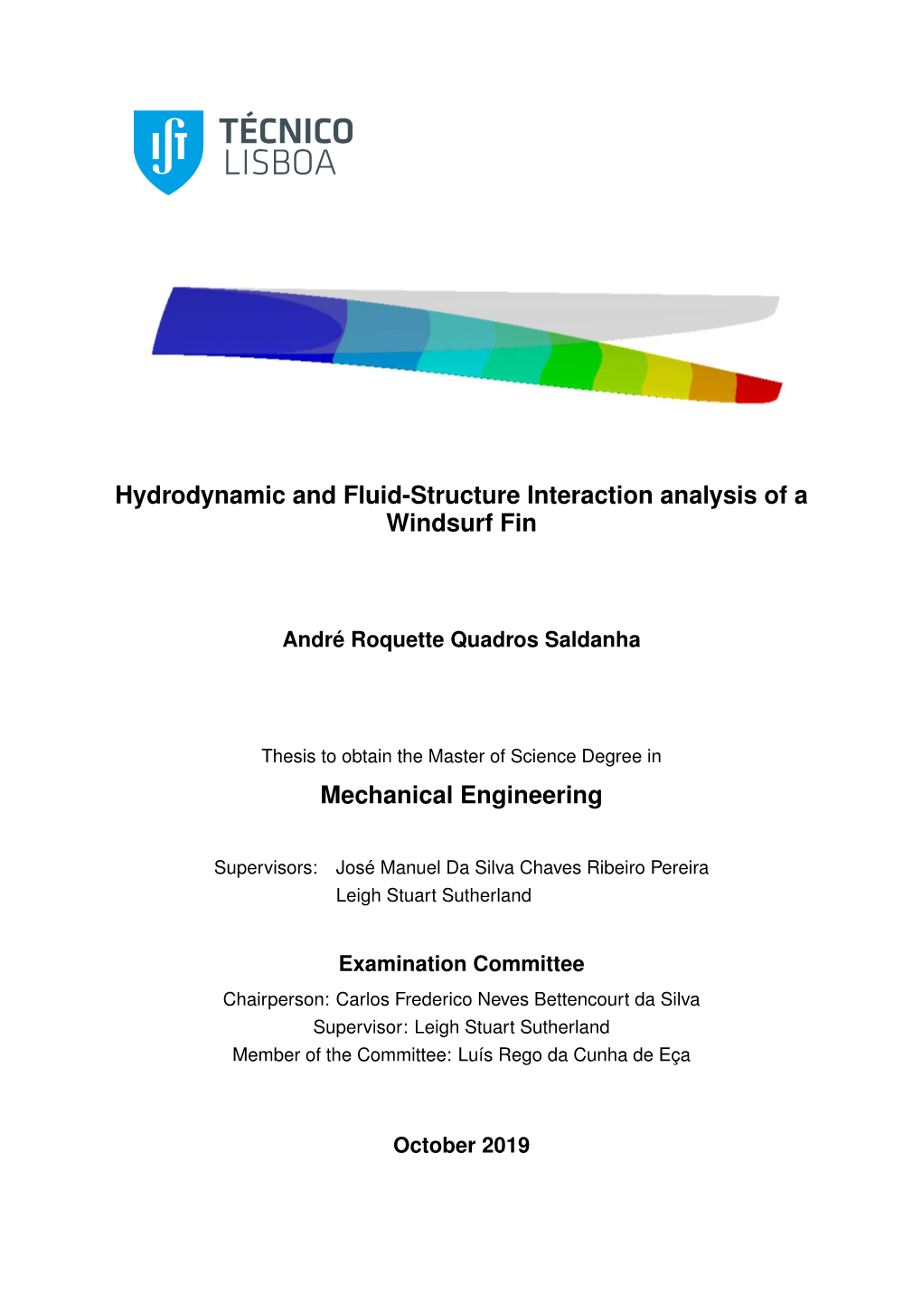 Hydrodynamic and Fluid-Structure Interaction Analysis of a Windsurf Fin