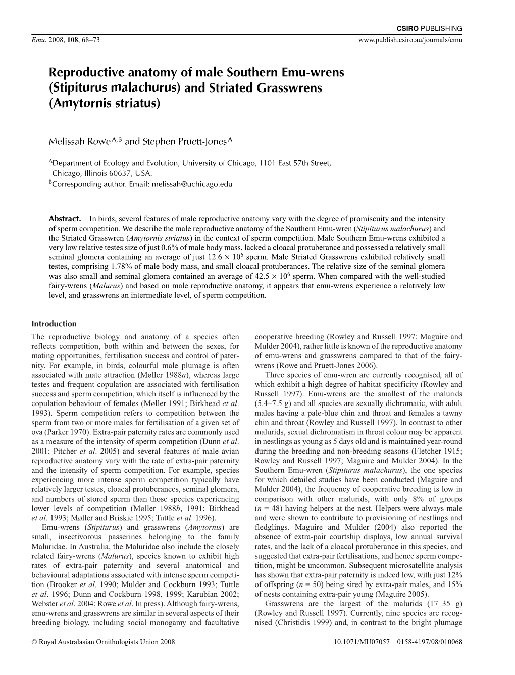 Reproductive Anatomy of Male Southern Emu-Wrens (Stipiturus Malachurus) and Striated Grasswrens (Amytornis Striatus)