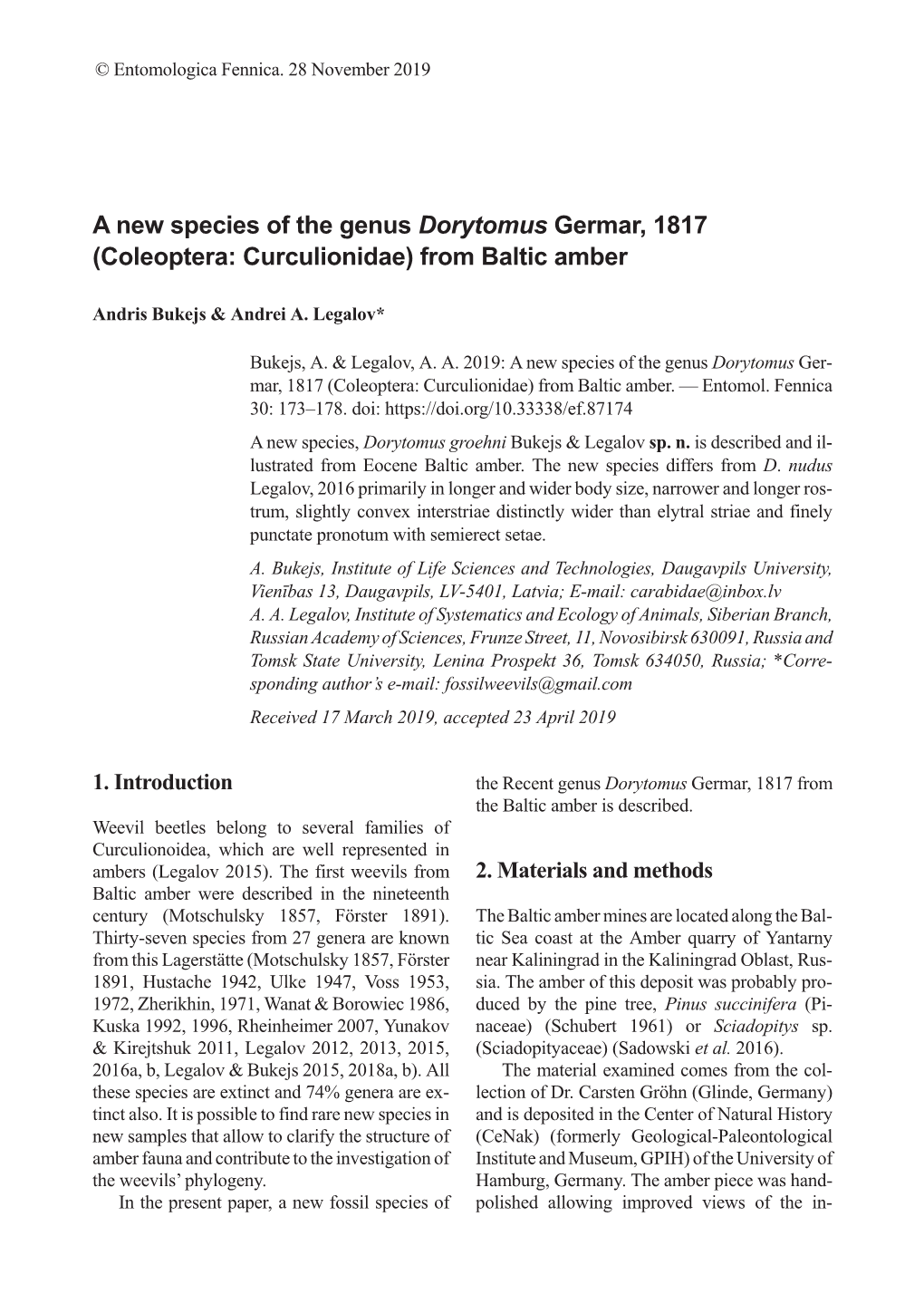 A New Species of the Genus Dorytomus Germar, 1817 (Coleoptera: Curculionidae) from Baltic Amber