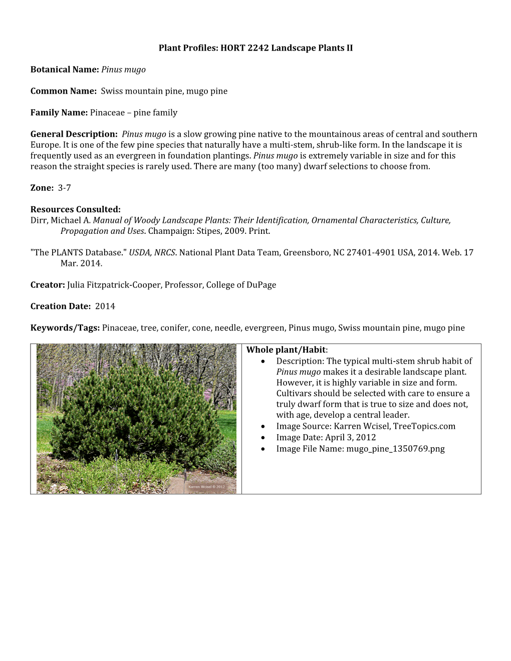 HORT 2242 Landscape Plants II Botanical Name: Pinus Mugo