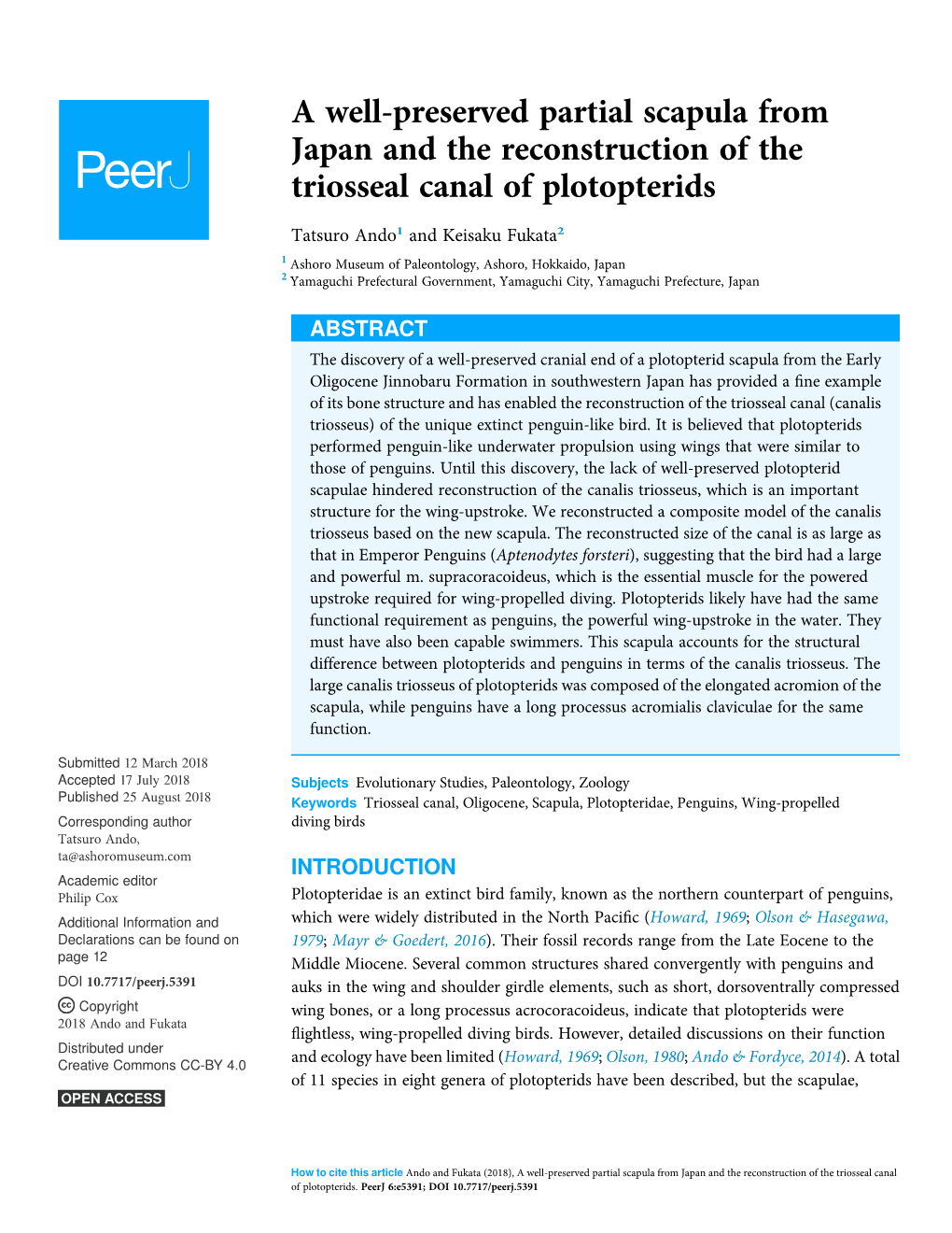 A Well-Preserved Partial Scapula from Japan and the Reconstruction of the Triosseal Canal of Plotopterids