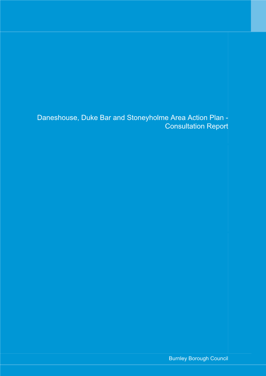 Daneshouse, Duke Bar and Stoneyholme Consultation Report