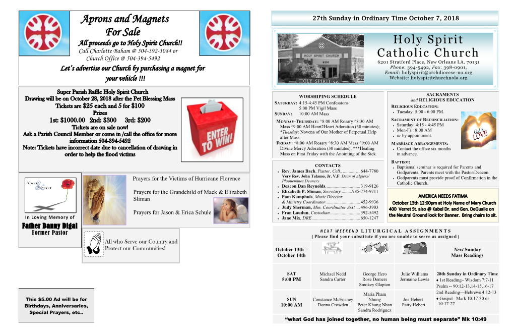 Holy Spirit Catholic Church Aprons and Magnets for Sale