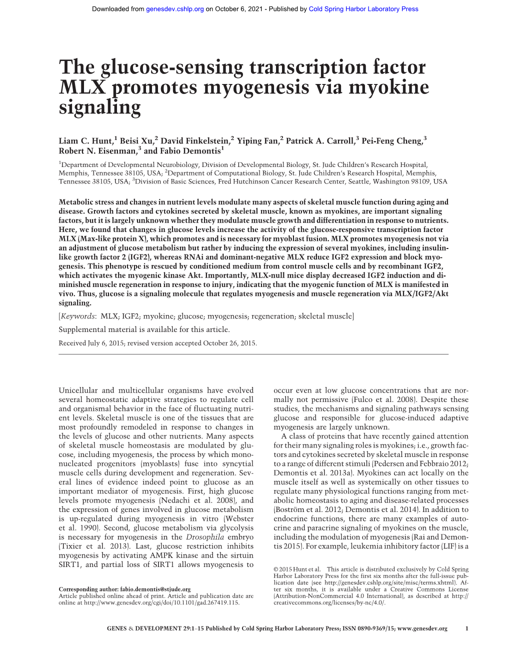 The Glucose-Sensing Transcription Factor MLX Promotes Myogenesis Via Myokine Signaling