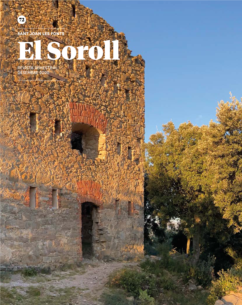 El Soroll REVISTA SEMESTRAL DESEMBRE 2020