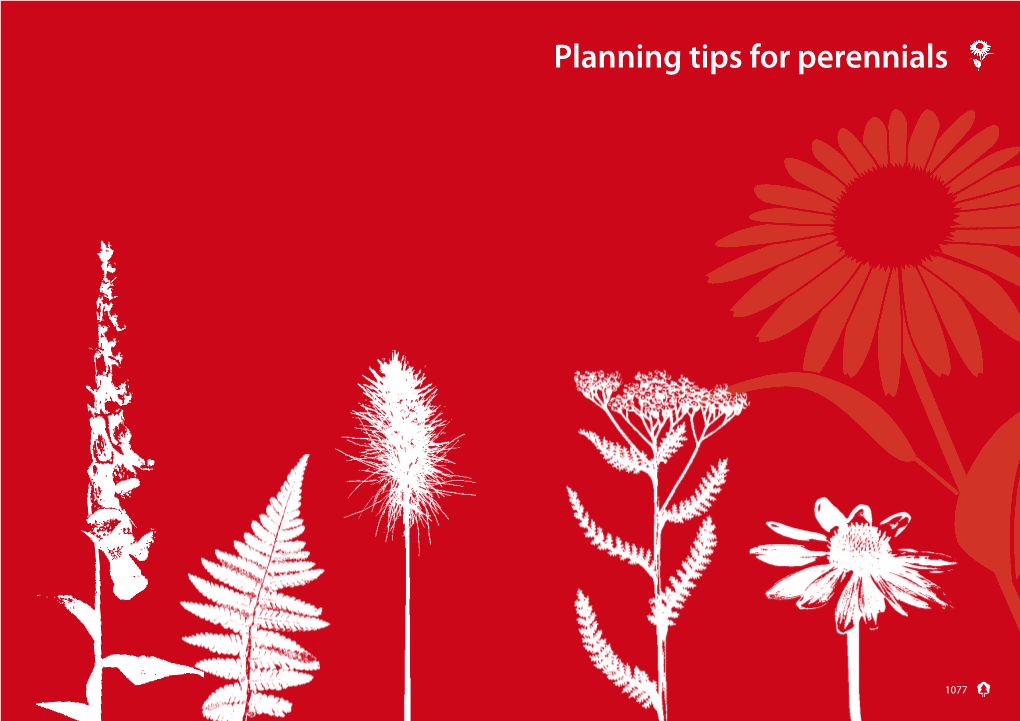 Planning Tips Perennials Download