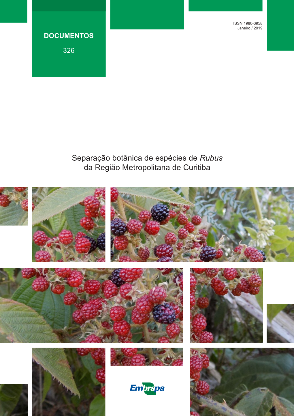 Separação Botânica De Espécies De Rubus Da Região Metropolitana De Curitiba