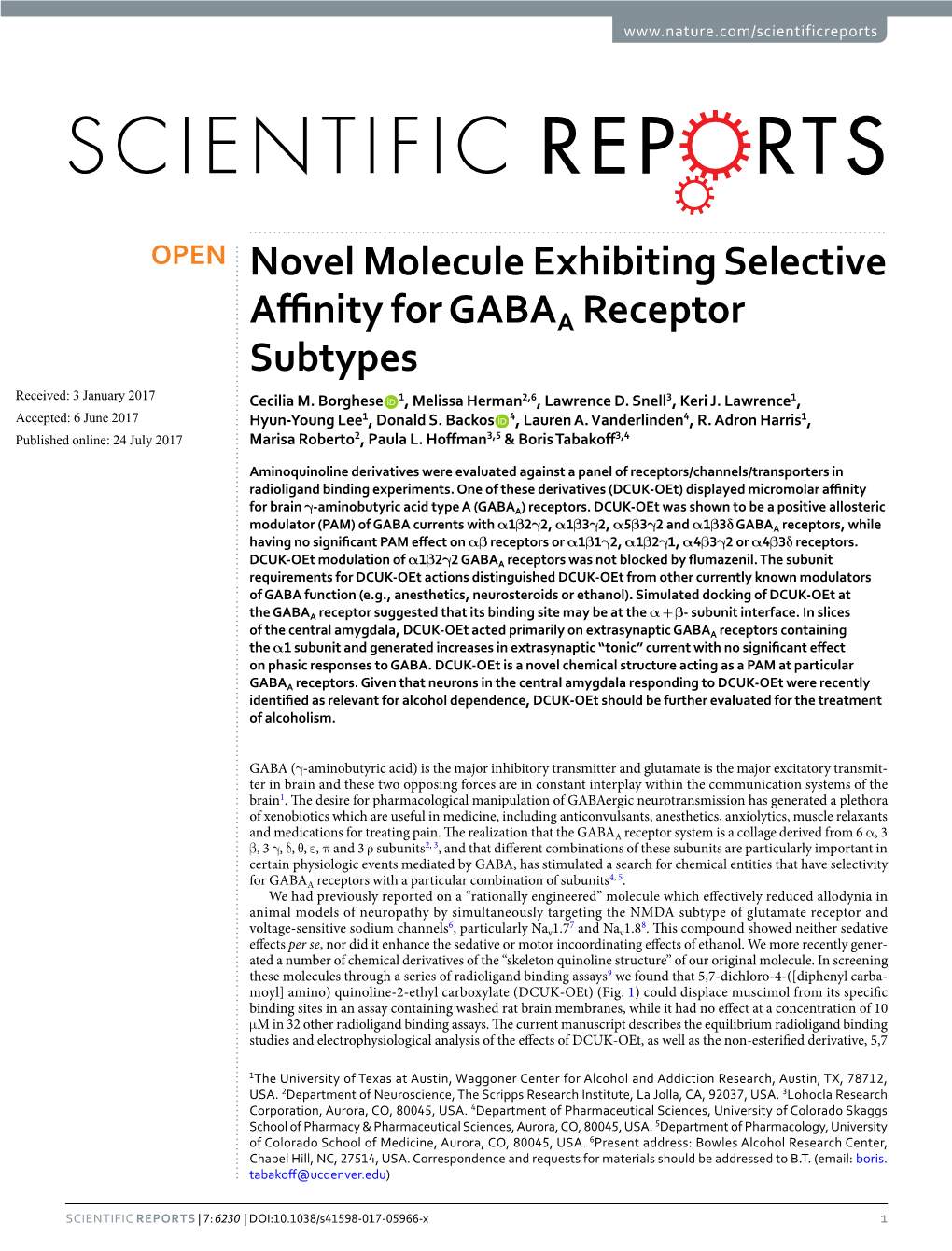 Novel Molecule Exhibiting Selective Affinity for GABAA Receptor Subtypes