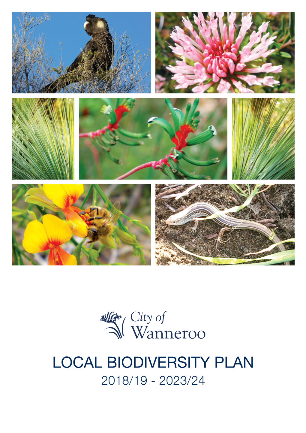 LOCAL BIODIVERSITY PLAN 2018/19 - 2023/24 Foreword