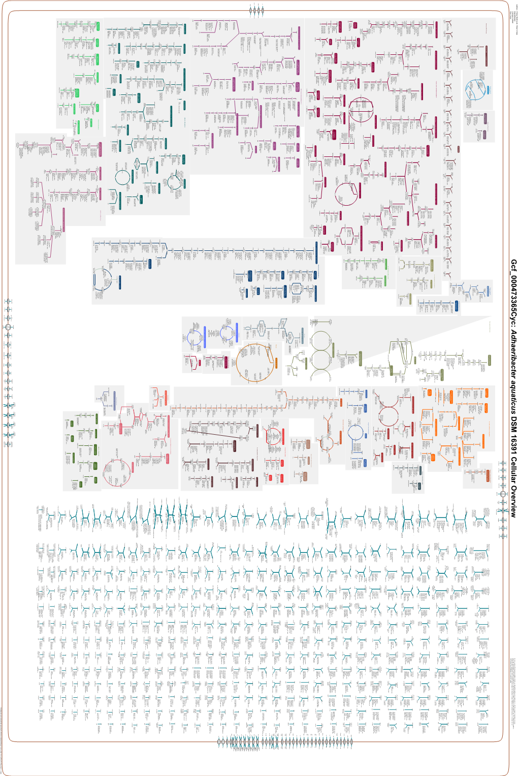 Generated by SRI International Pathway Tools Version 25.0, Authors S