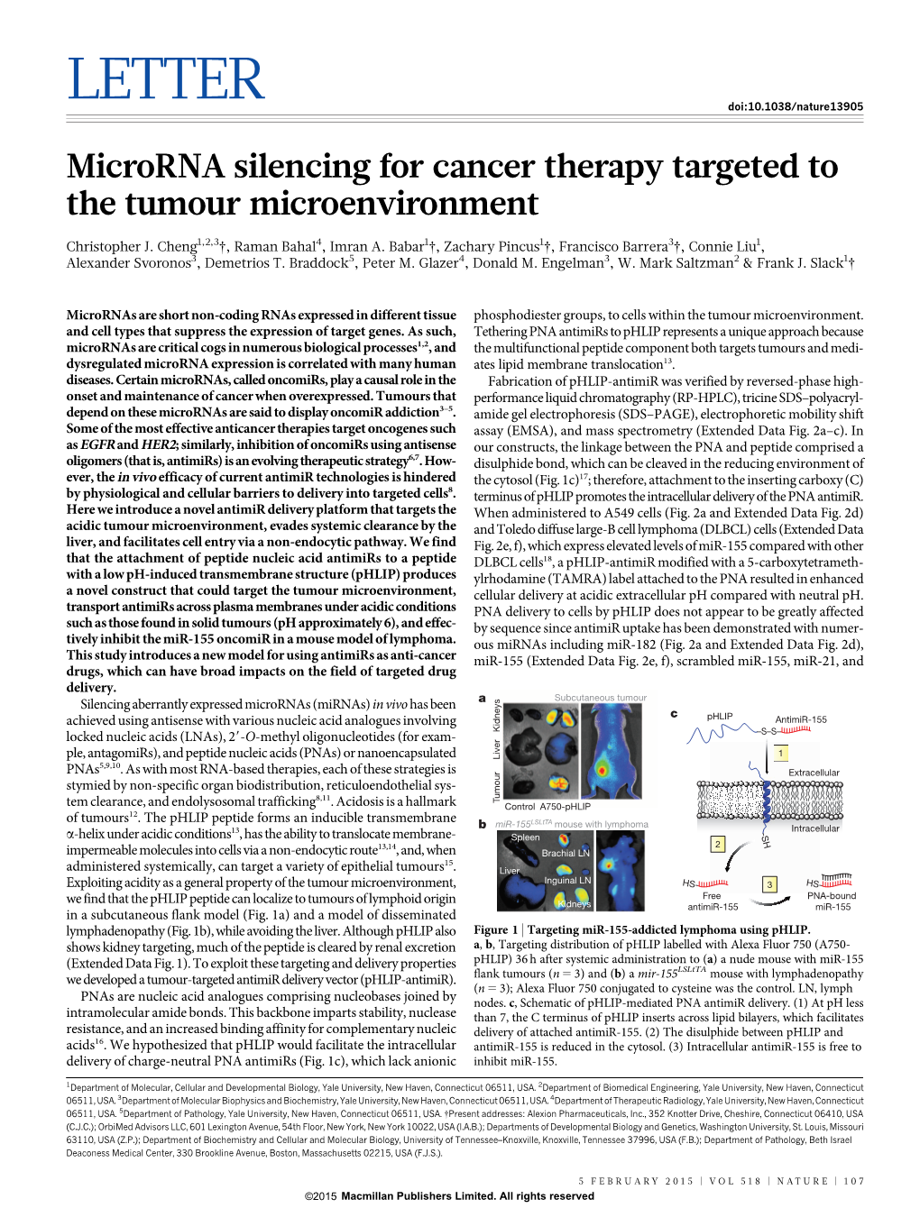 Microrna Silencing for Cancer Therapy Targeted to the Tumour Microenvironment