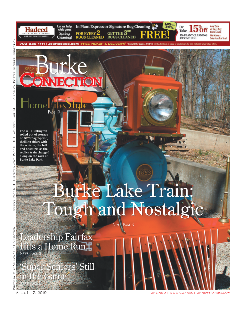 Burke Lake Train