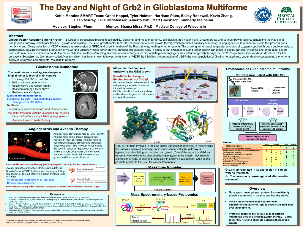 Glia Maturation Factor Beta