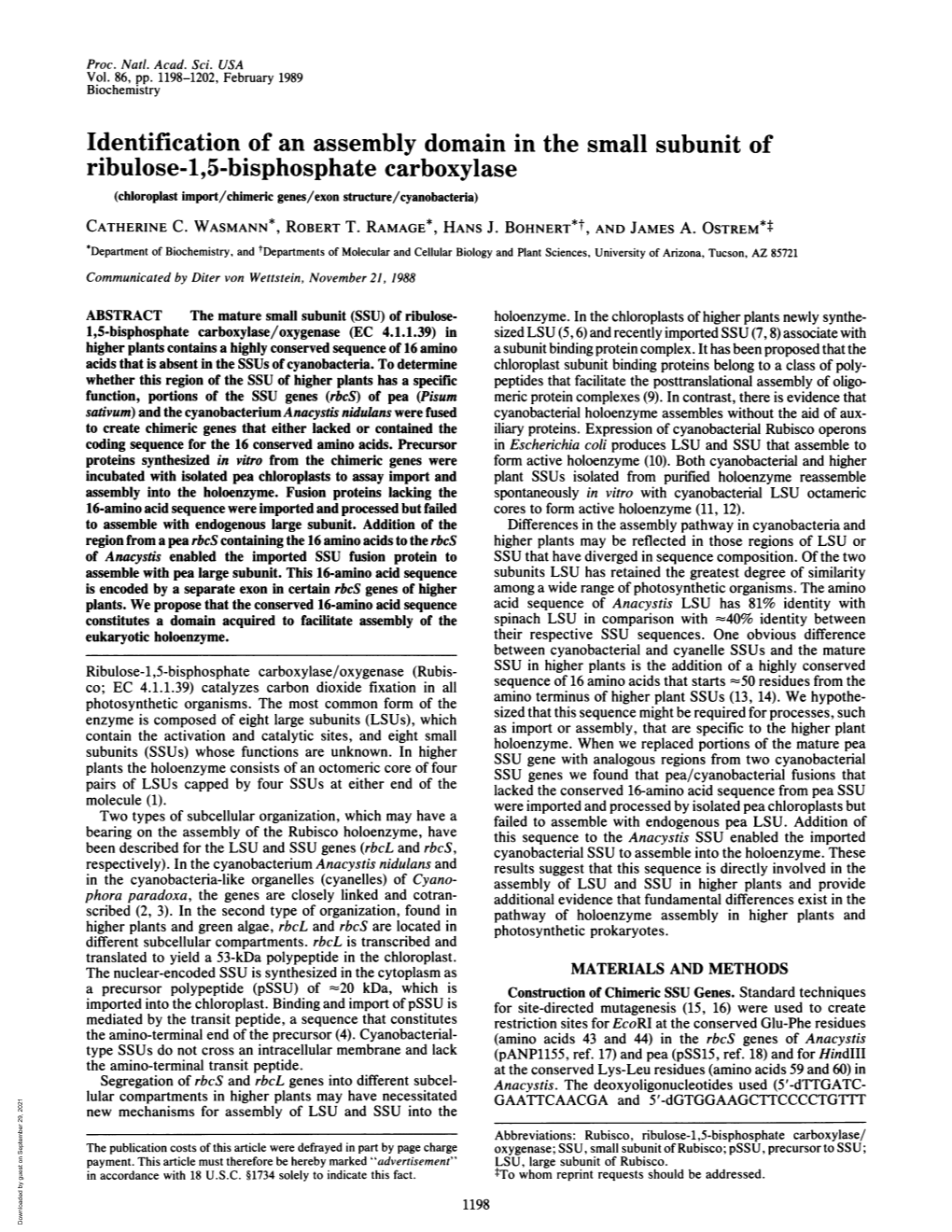 Identification of an Assembly Domain in the Small Subunit of Ribulose-1,5