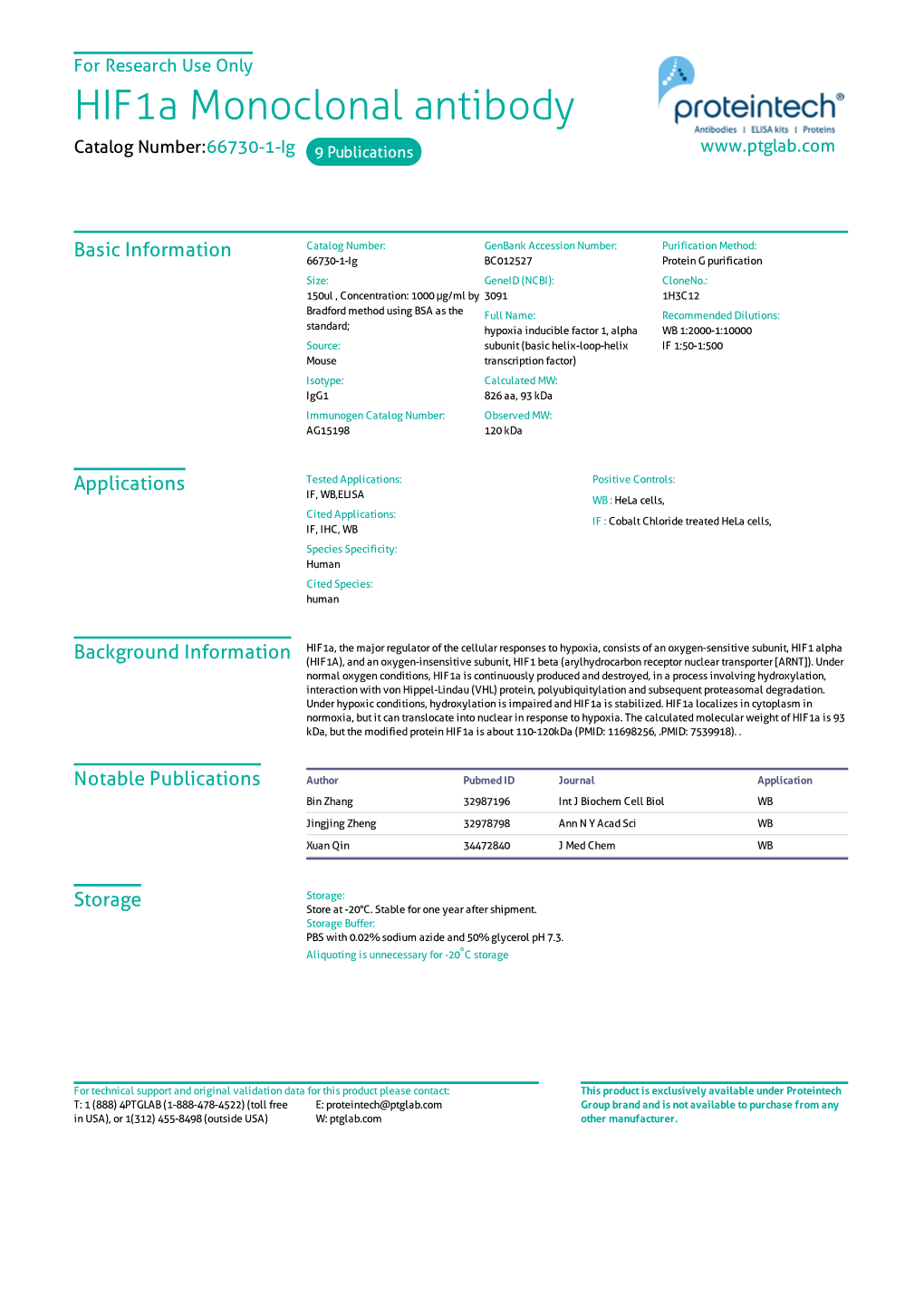 Hif1a Monoclonal Antibody Catalog Number:66730-1-Ig 9 Publications