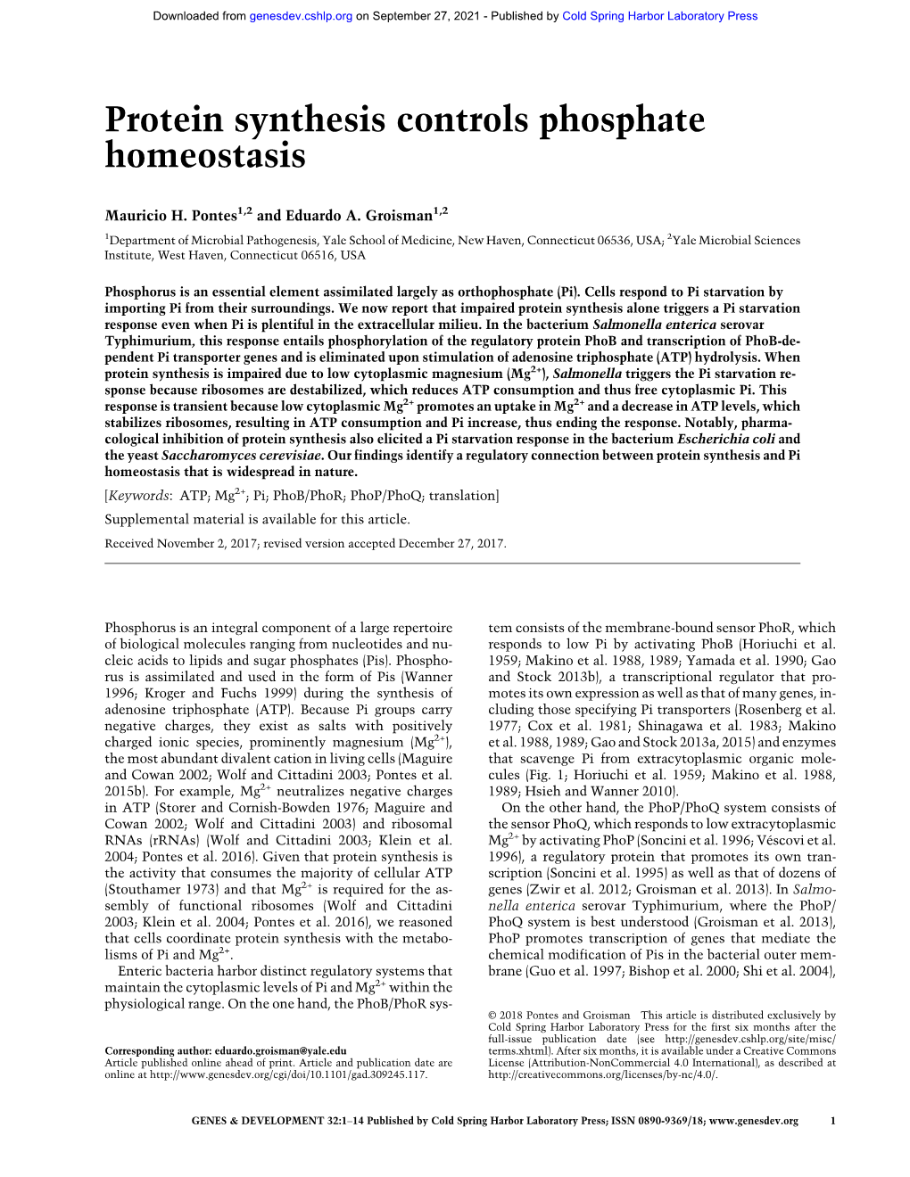Protein Synthesis Controls Phosphate Homeostasis