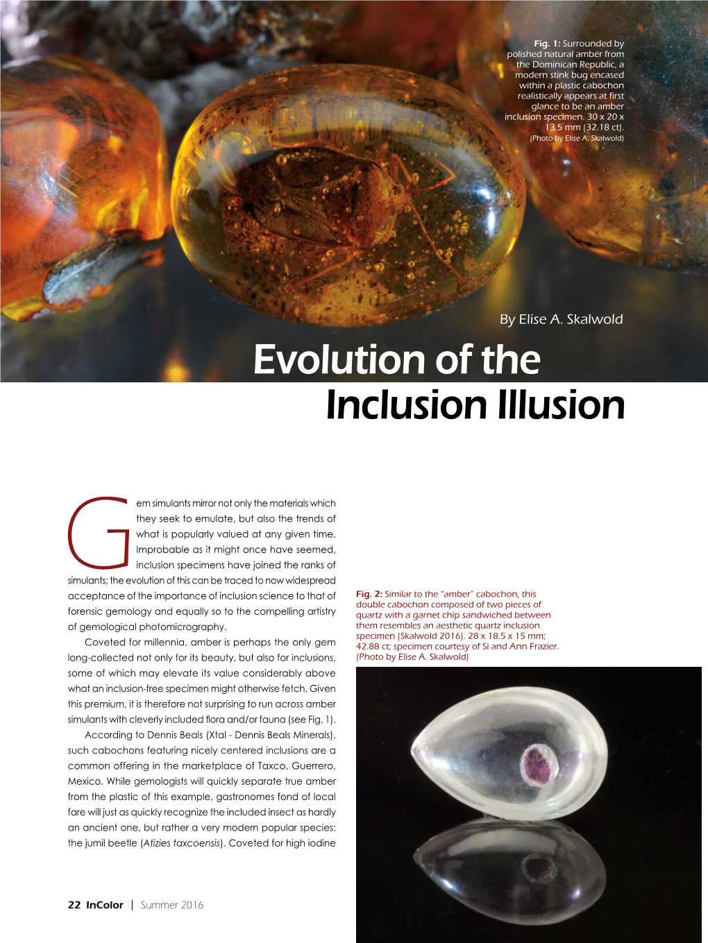 “Evolution of the Inclusion Illusion”