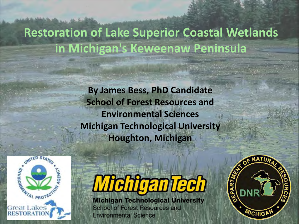 Restoration of Lake Superior Coastal Wetlands in Michigan's Keweenaw Peninsula