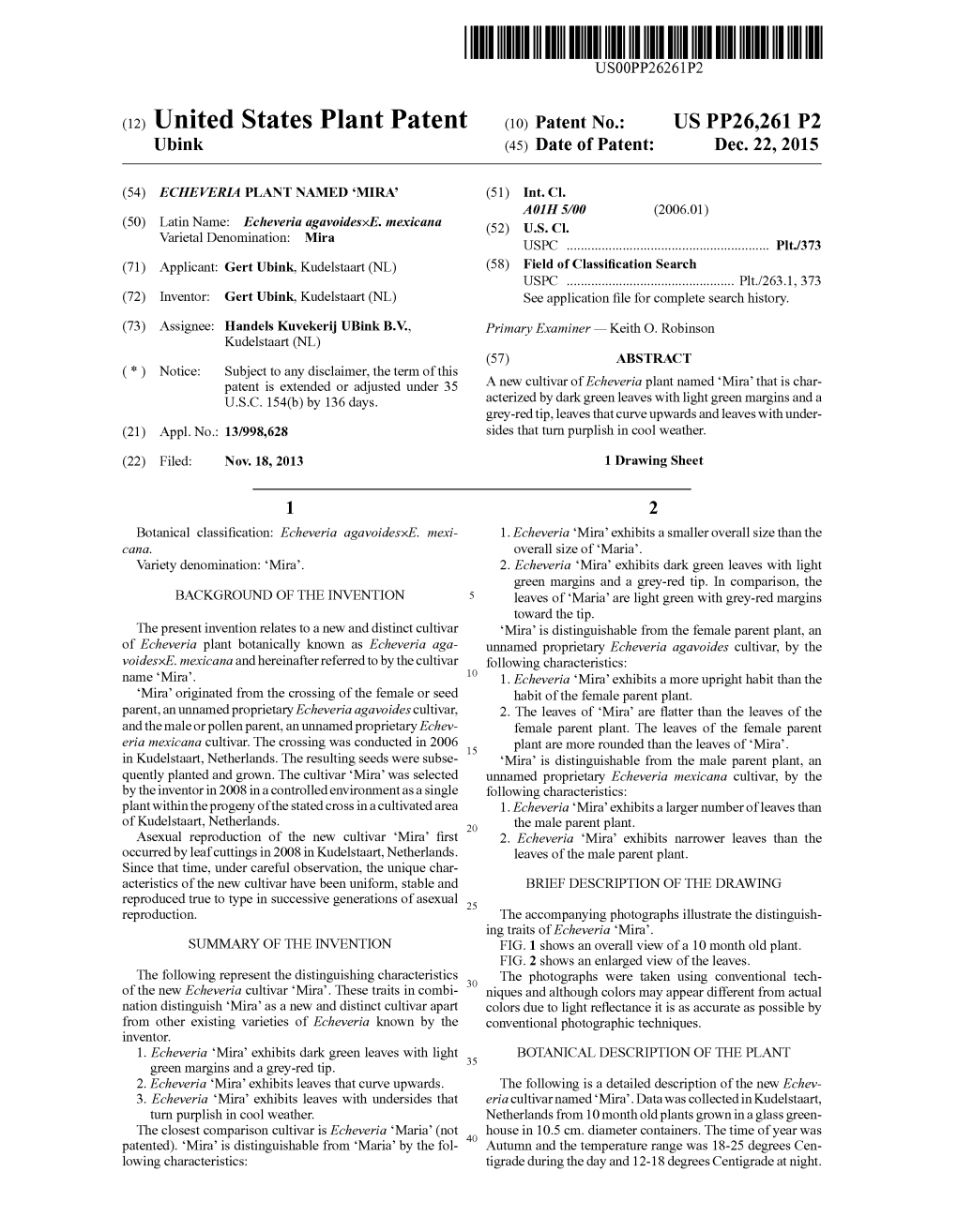 (12) United States Plant Patent (10) Patent No.: US PP26.261 P2 Ubink (45) Date of Patent: Dec