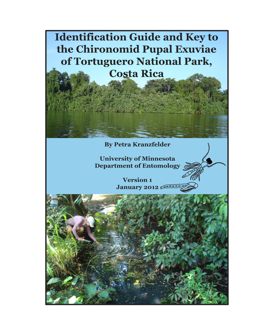 Identification Guide and Key to the Chironomid Pupal Exuviae of Tortuguero National Park, Costa Rica