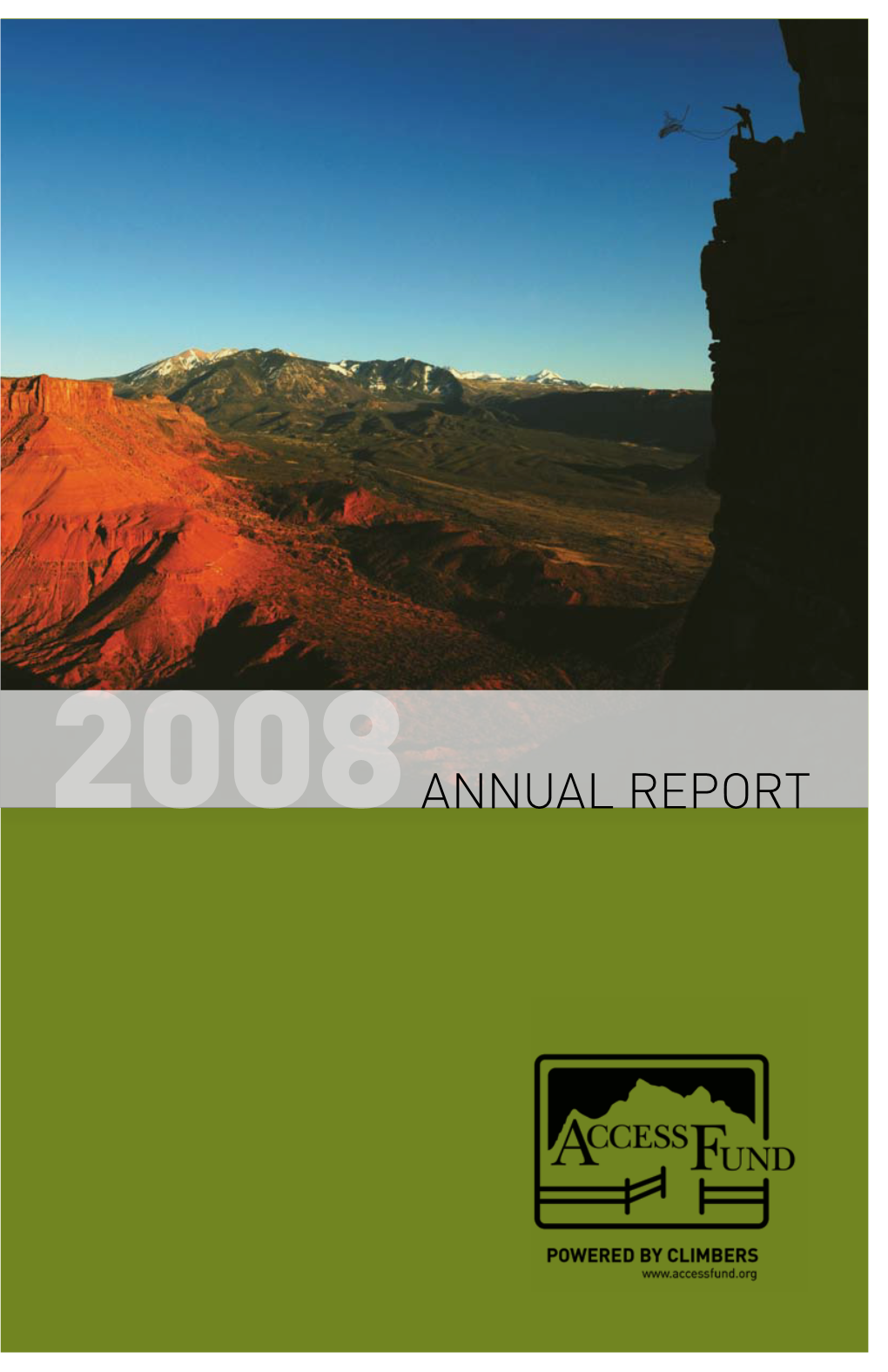 ANNUAL REPORT 2008 the AF Perspective 2/3