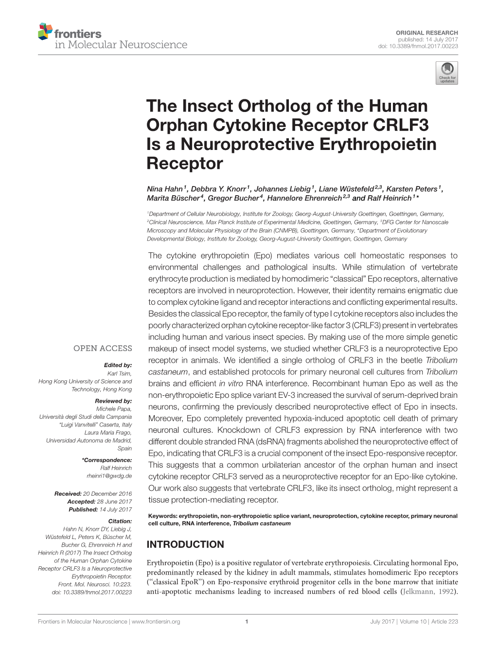 The Insect Ortholog of the Human Orphan Cytokine Receptor CRLF3 Is a Neuroprotective Erythropoietin Receptor