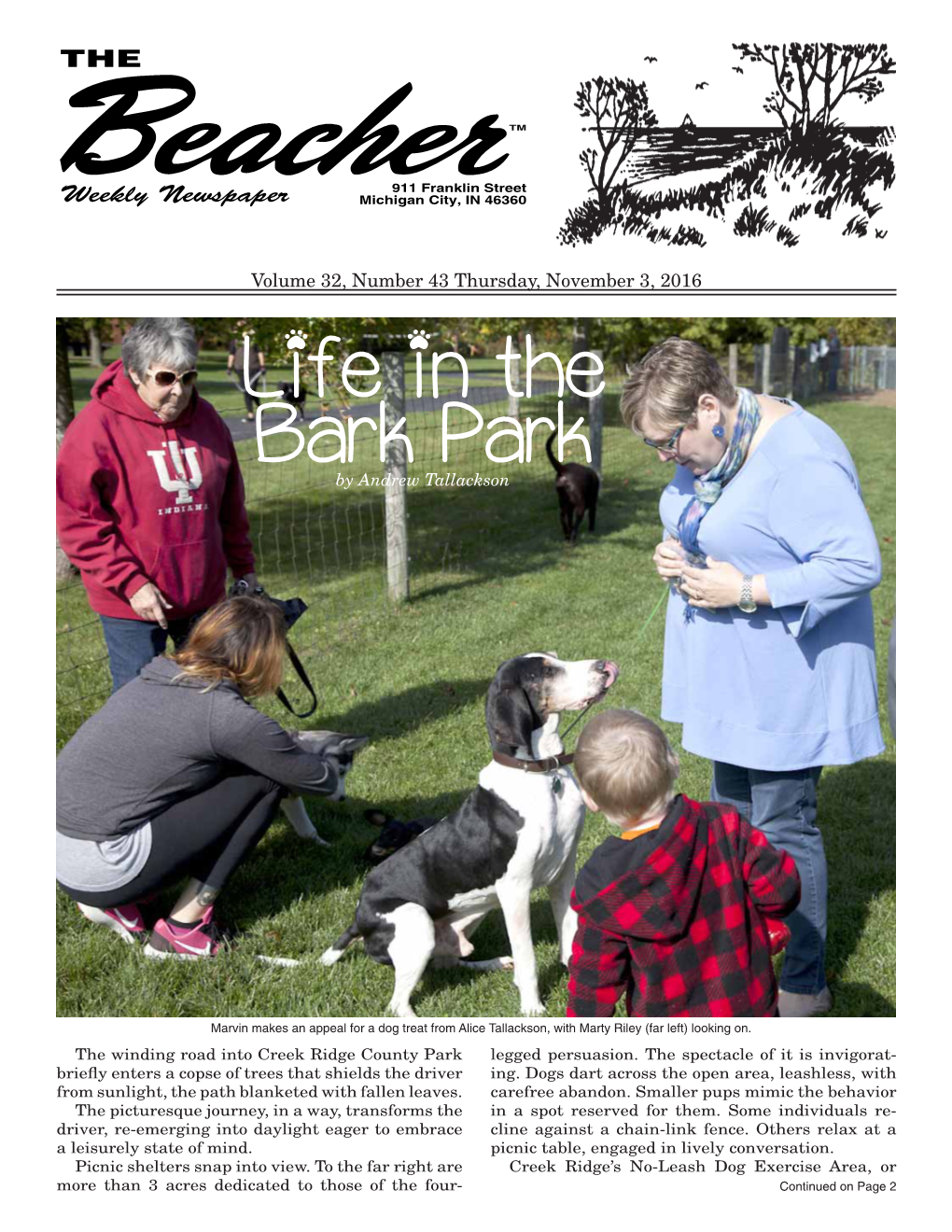 Life in the Bark Park by Andrew Tallackson