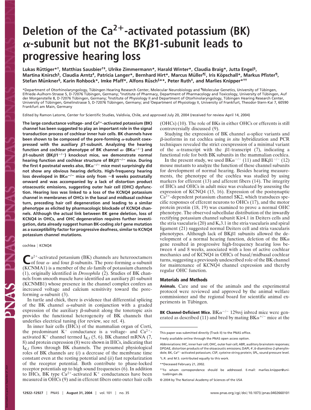 Activated Potassium (BK ␣-Subunit but Not the BK␤1-Subunit Leads to Progressive Hearing Loss