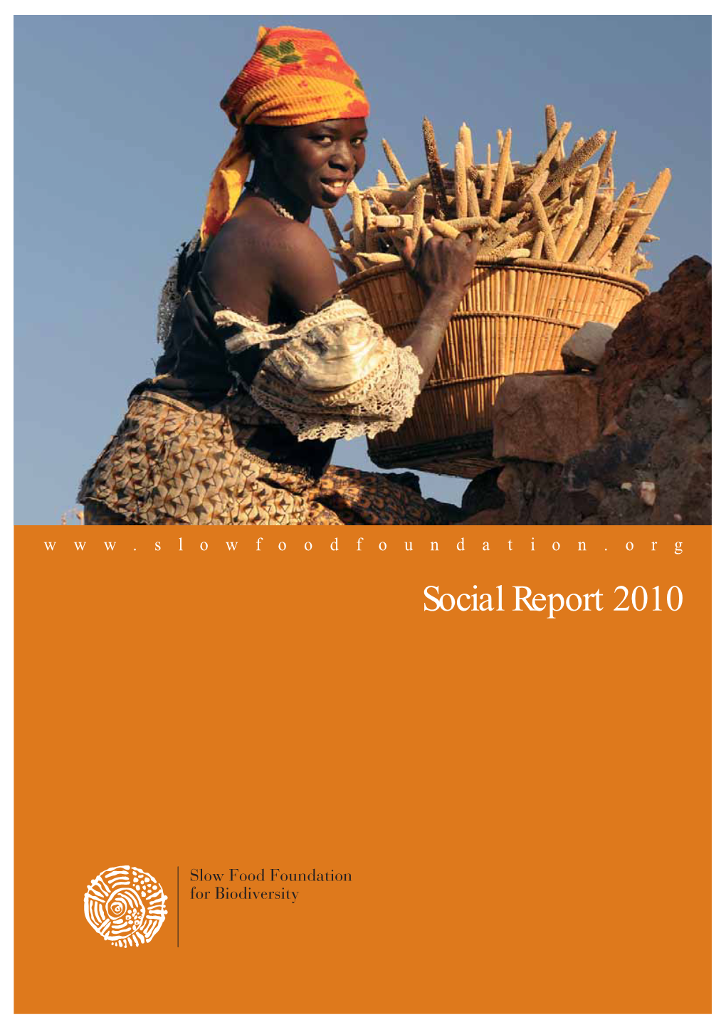 Social Report 2010