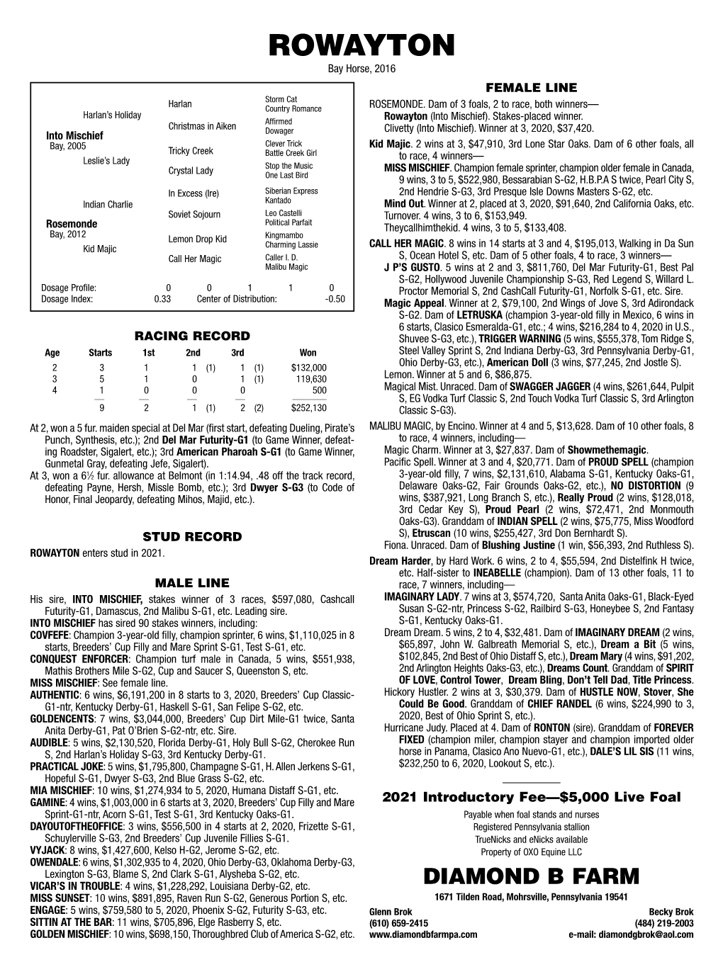 ROWAYTON Bay Horse, 2016 FEMALE LINE Storm Cat Harlan Country Romance ROSEMONDE