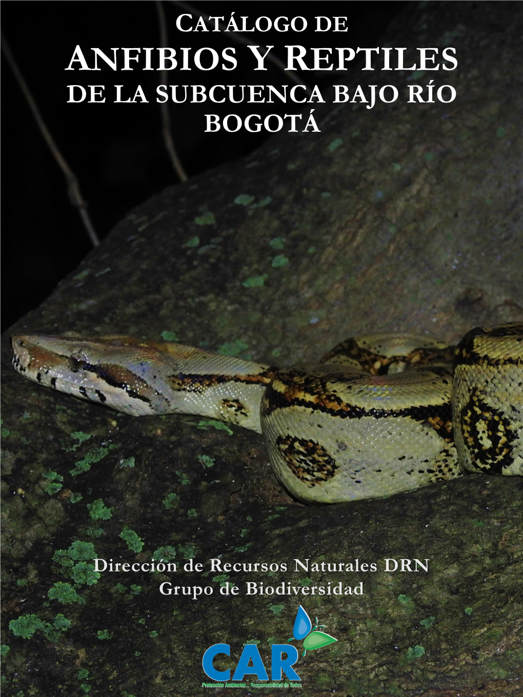 Catálogo De Anfibios Y Reptiles De La Subcuenca Bajo Río Bogotá