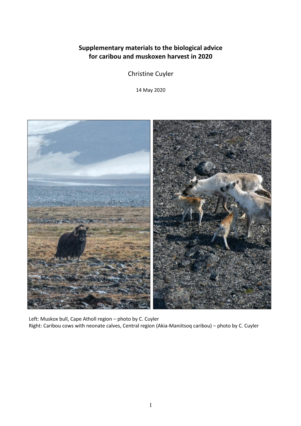 Supplementary Materials to the Biological Advice for Caribou and Muskoxen Harvest in 2020