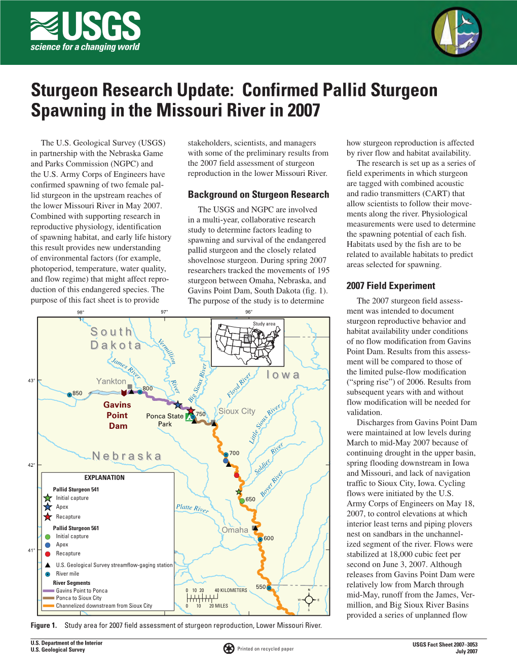 Confirmed Pallid Sturgeon Spawning in the Missouri River in 2007