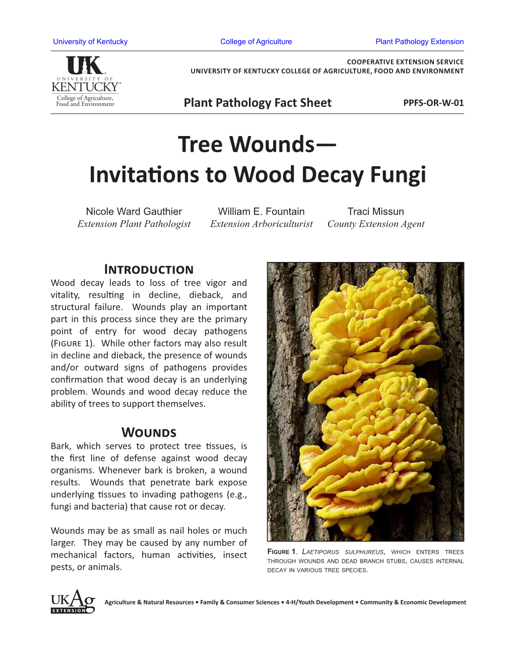Tree Wounds— Invitations to Wood Decay Fungi