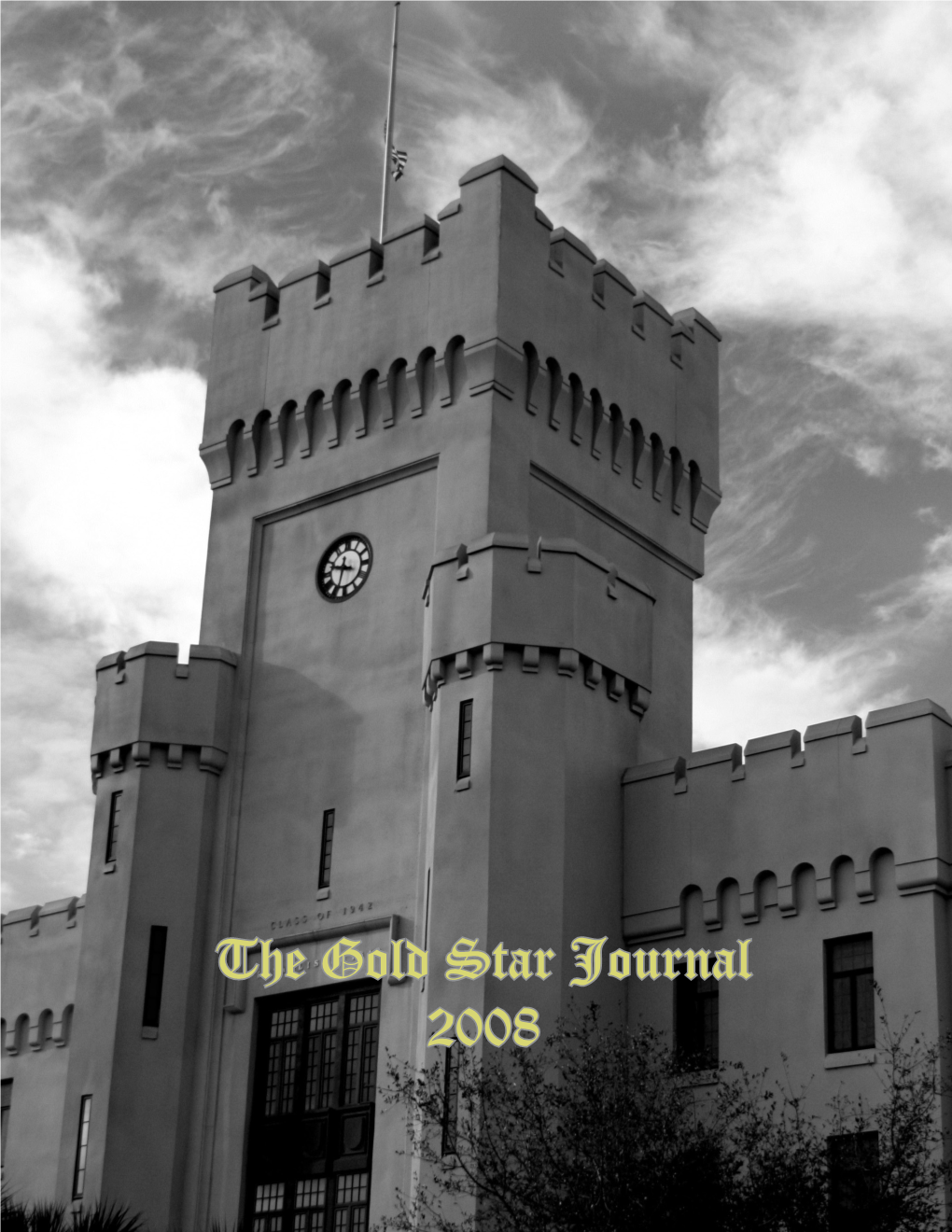 The Gold Star Journal 2008