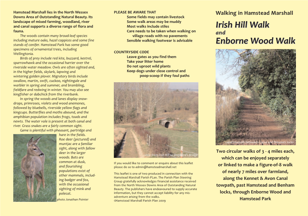Irish Hill Walk Enborne Wood Walk